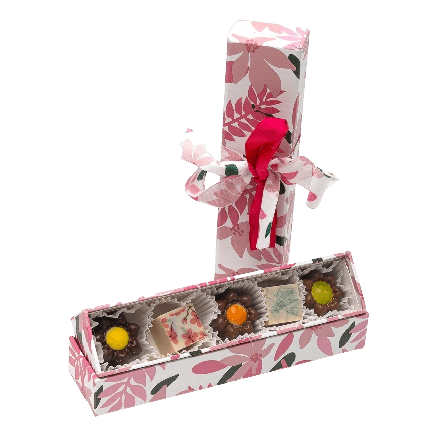 Primavera caja de 5 pralinés 75g