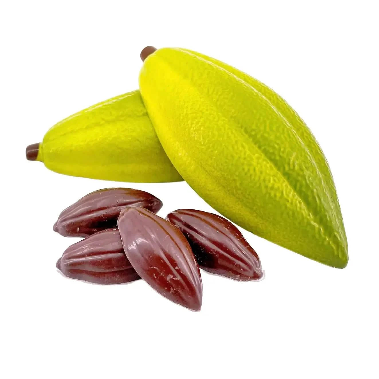 Cacao pod dark chocolate 100 grs - The Belgian Chocolate Makers